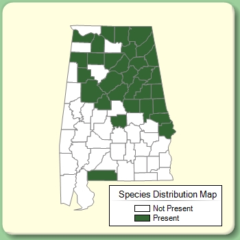 Species Distribution Map