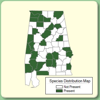 Species Distribution Map