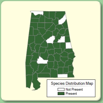 Species Distribution Map