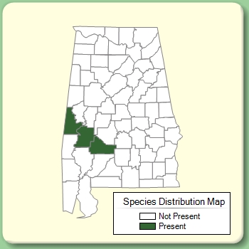 Species Distribution Map