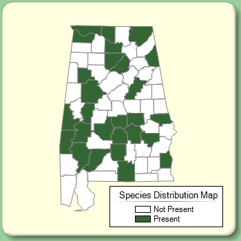 Species Distribution Map