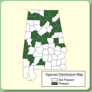 Species Distribution Map