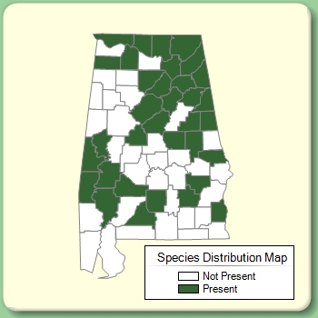 Species Distribution Map