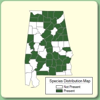 Species Distribution Map