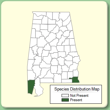 Species Distribution Map