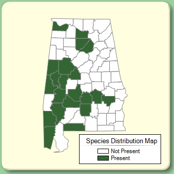 Species Distribution Map