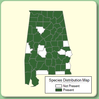 Species Distribution Map