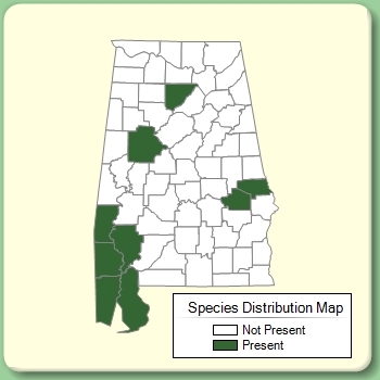 Species Distribution Map