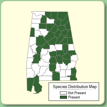 Species Distribution Map