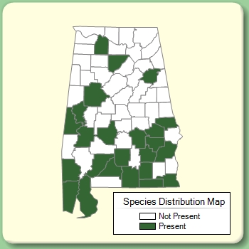 Species Distribution Map