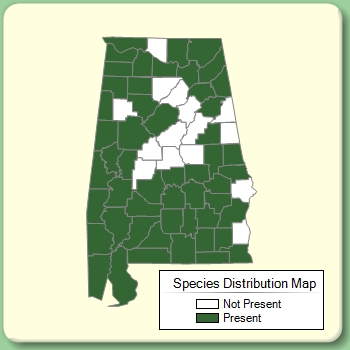 Species Distribution Map