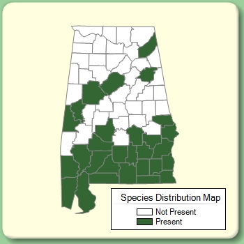 Species Distribution Map