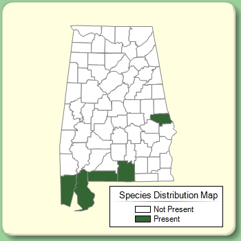 Species Distribution Map