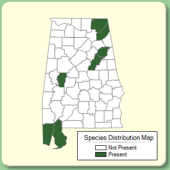 Species Distribution Map