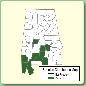 Species Distribution Map