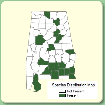 Species Distribution Map