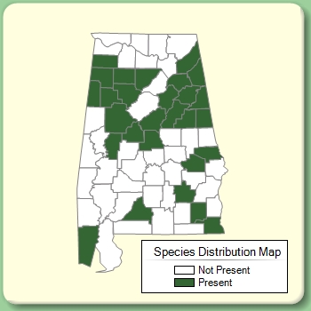 Species Distribution Map