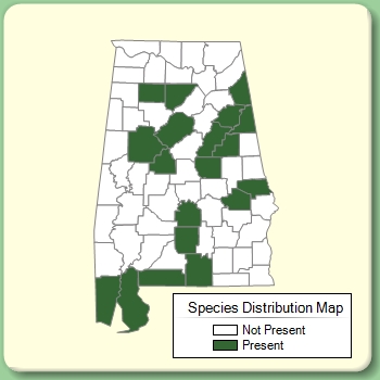 Species Distribution Map