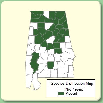 Species Distribution Map