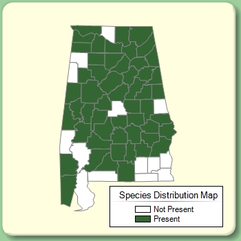 Species Distribution Map