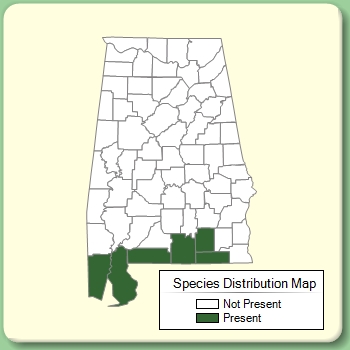 Species Distribution Map