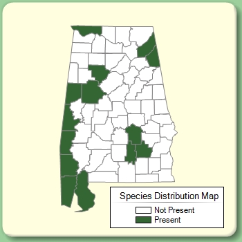 Species Distribution Map