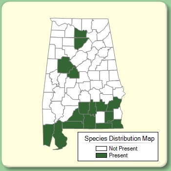 Species Distribution Map