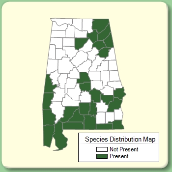 Species Distribution Map