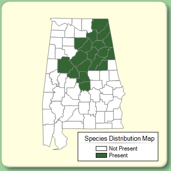 Species Distribution Map