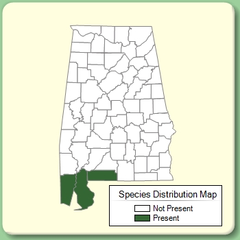 Species Distribution Map