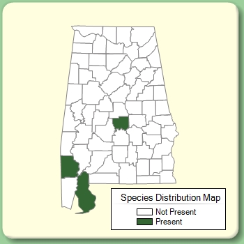 Species Distribution Map