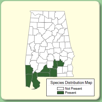 Species Distribution Map