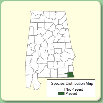 Species Distribution Map