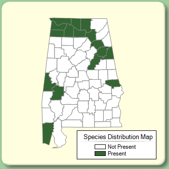 Species Distribution Map