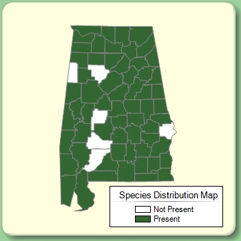 Species Distribution Map