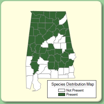 Species Distribution Map