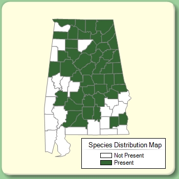 Species Distribution Map