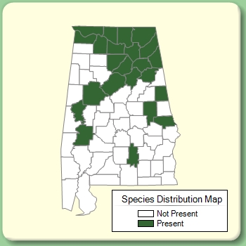 Species Distribution Map