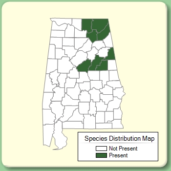 Species Distribution Map