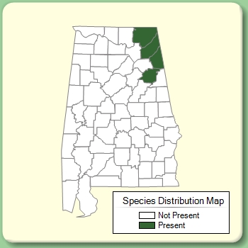 Species Distribution Map