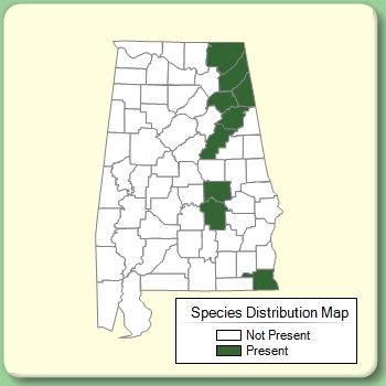 Species Distribution Map