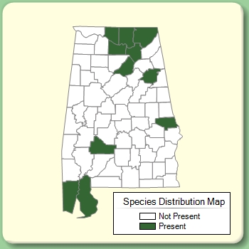 Species Distribution Map