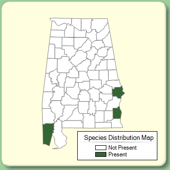 Species Distribution Map