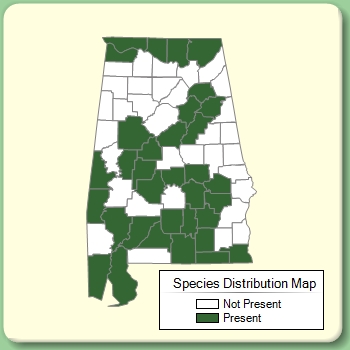 Species Distribution Map