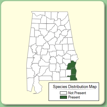 Species Distribution Map