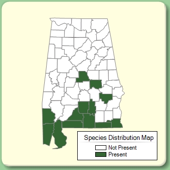 Species Distribution Map