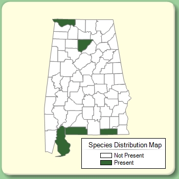 Species Distribution Map