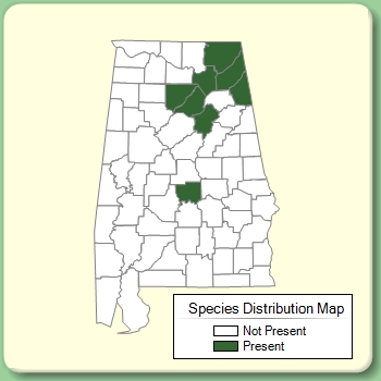 Species Distribution Map