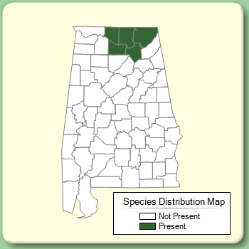 Species Distribution Map