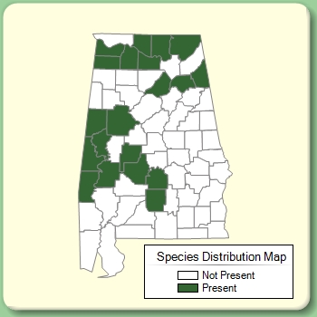 Species Distribution Map